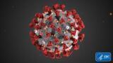 First Recombinant SARS-CoV-2 (COVID-19) Nucleocapsid Protein for Diagnostic Testing Launched